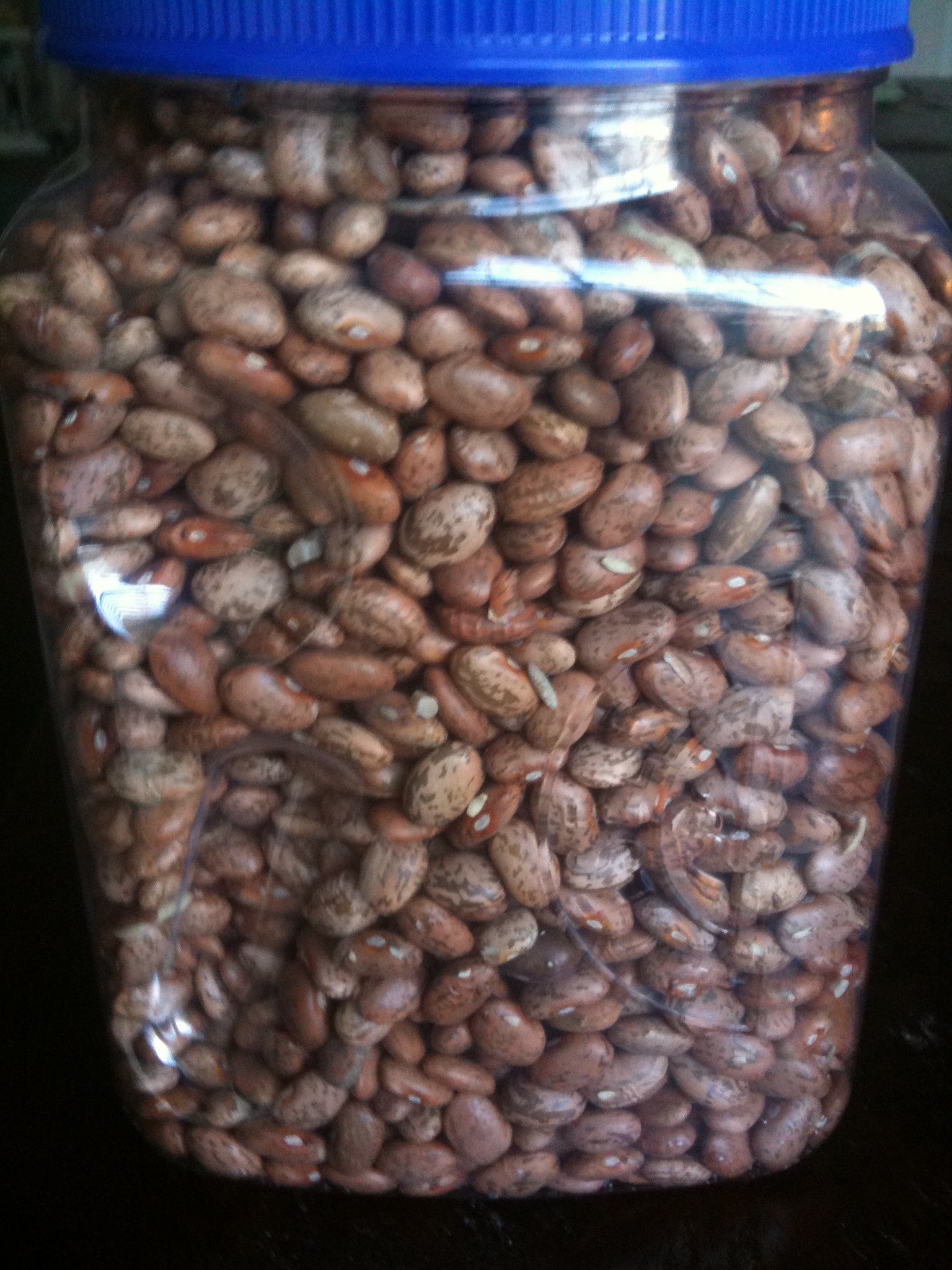 Basic Recipe: Cooking Beans – 10/10/11