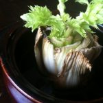 Grow this Vegetable from Trash – 3/17/12