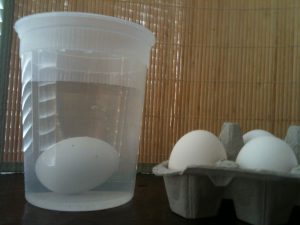 Testing egg for freshness