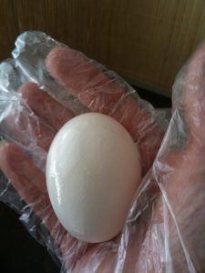 Rubbing mineral oil to preserve egg