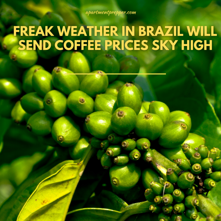 Freak Weather In Brazil Will Send Coffee Prices Sky High - Apartment ...