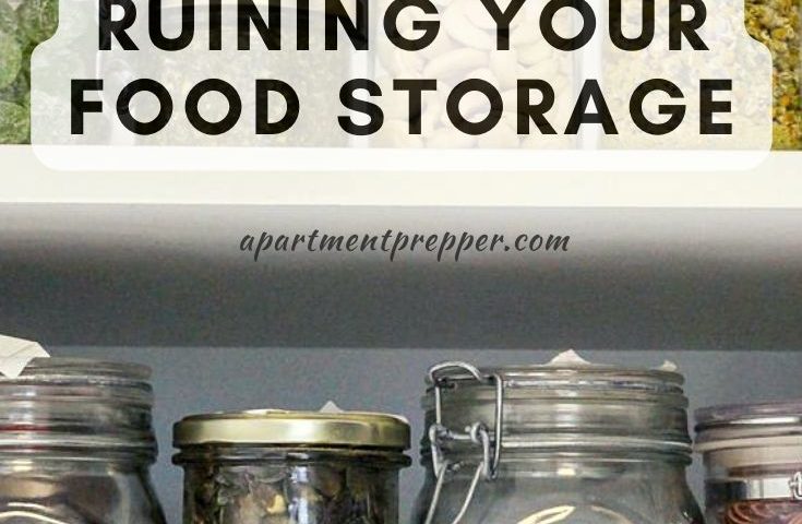 Keeping Pests Away from Food Storage - Food Storage Moms