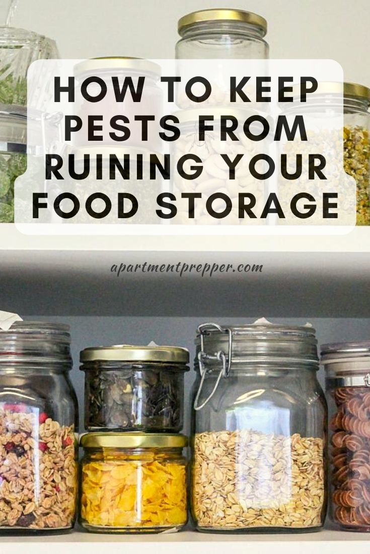 How to Keep Your Food Storage Protected From Pests - Little House Living
