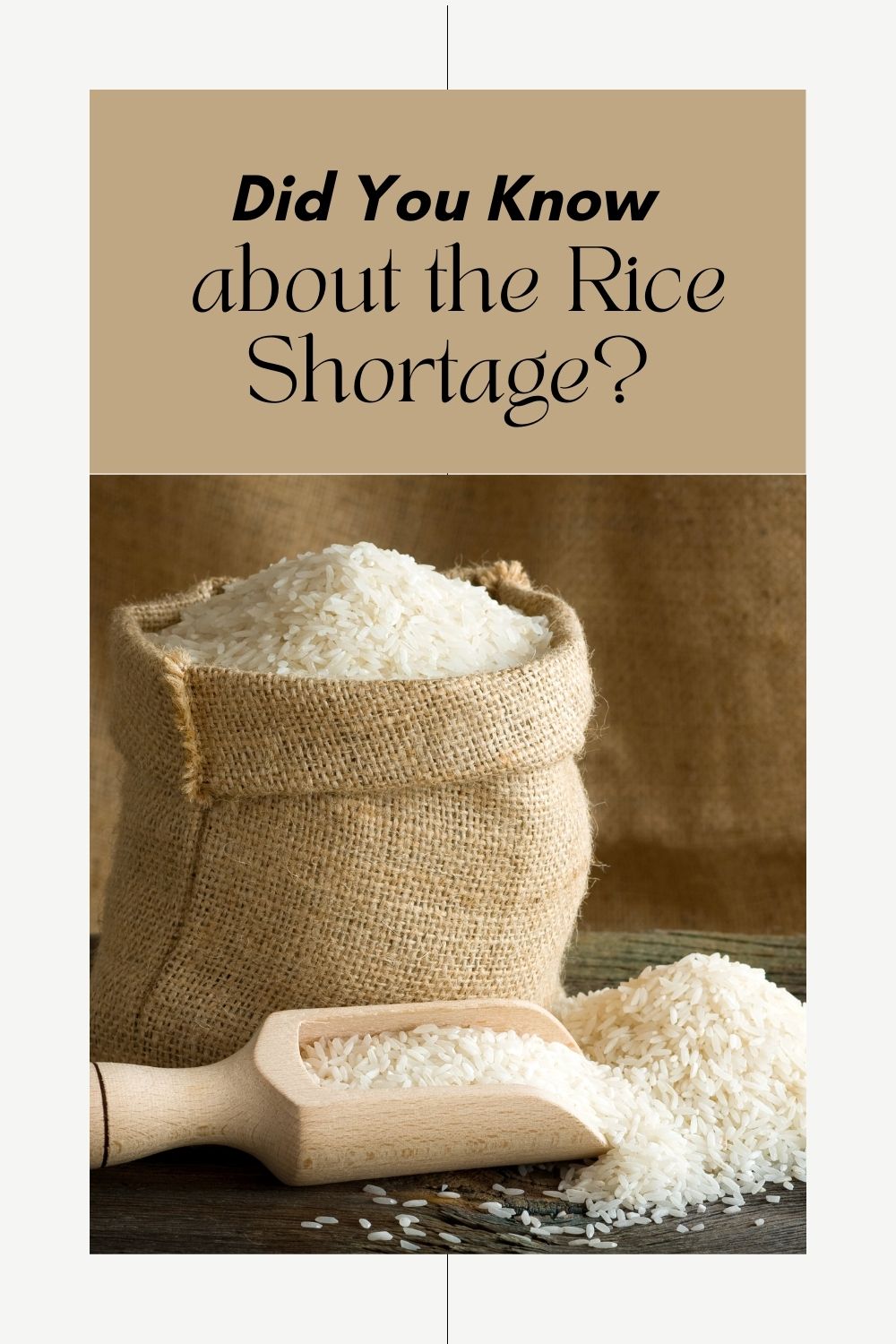 Did You Know about the Rice Shortage? Apartment Prepper