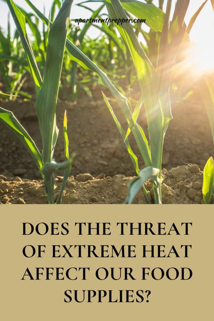 Does the Threat of Extreme Heat Affect Our Food Supplies