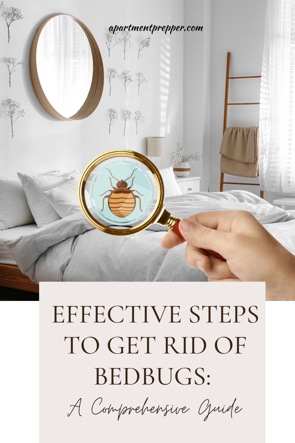 Effective Steps to Get Rid of Bedbugs: A Comprehensive Guide