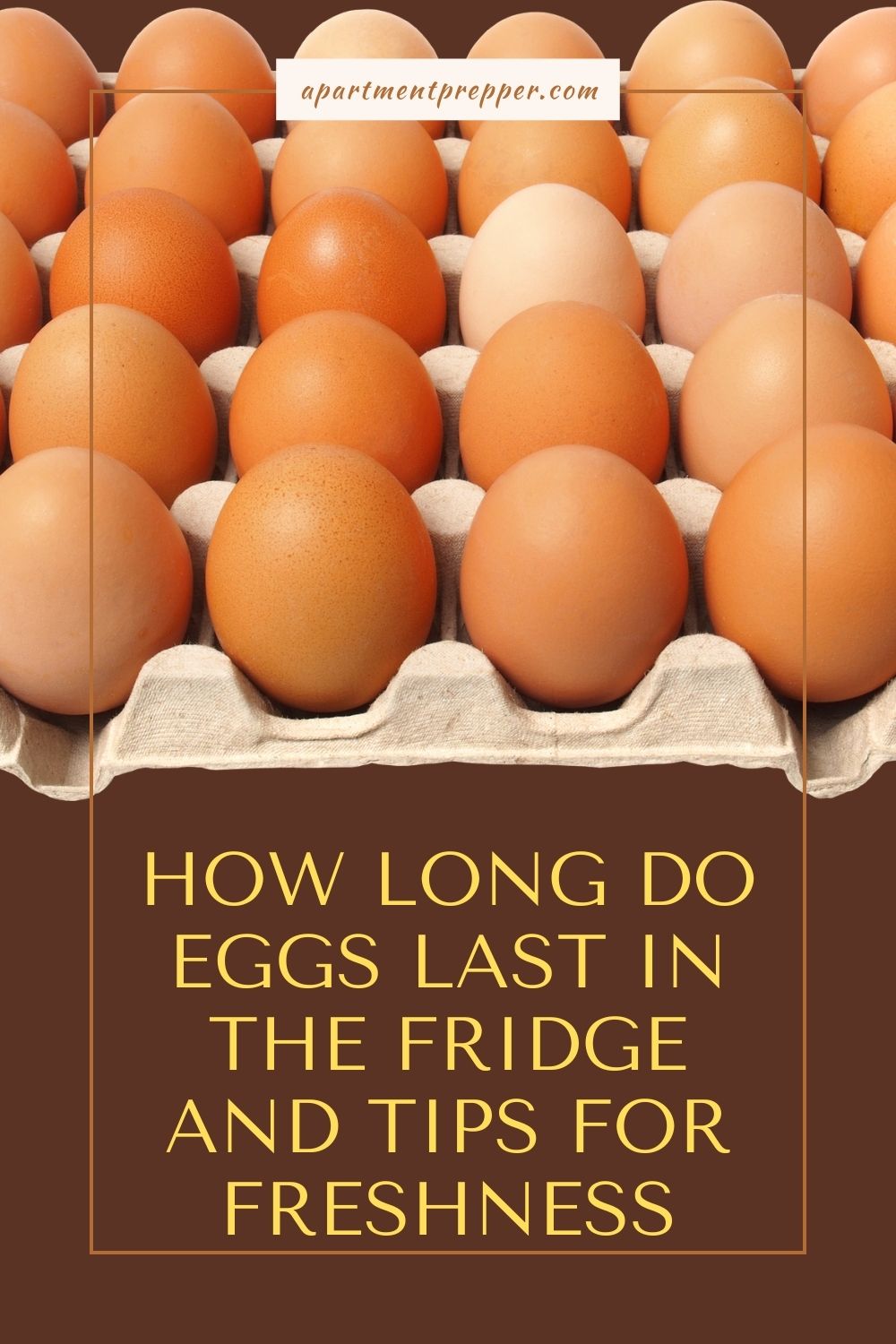 How Long Do Eggs Last in the Fridge and Tips for Freshness Apartment Prepper